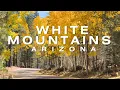 Best Small Towns in Northern Arizona White Mountains 4K