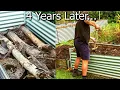 What Happens When You Bury Logs in the Veggie Garden Raised Bed