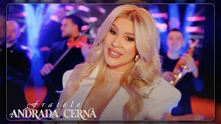 Andrada Cerna - Fratele - Descarcă MP3