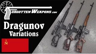 Dragunov Variations Military SVD Izhmash Tiger Chinese NDM 86 
