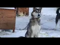 Life Below Zero Andy Bassich