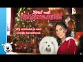 Download Lagu Samson \u0026 Marie Lyrics: Wij wensen je een vrolijk kerstfeest