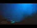 Part of Your World From"The Little Mermaid" ～Disney Deep Sleep Collection～Piano Covered by kno