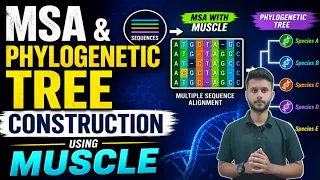 Multiple Sequence Alignment and Phylogenetic Tree Construction using MUSCLE