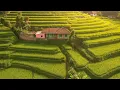 Download Lagu Lagi Viral Di Sumedang‼️Rumah Villa Bambu Di Tengah Alam Indah Sumedang