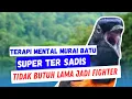 Pancingan Mental Murai Batu Ter Sakti, Putar Sekali Jadikan Murai Mu Gacor Mental Baja