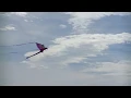 Alien Flying Creature Spotted