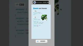 Image Zoom On Hover CSS Image Effects HTML CSS Tutorial