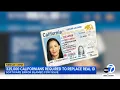 325 000 Californians will need to replace REAL IDs due to DMV software error