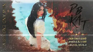 وين رايح عالعراق منين جاي من العراق الاسطورة جهاد سليمان دبكات مطلوبة 2022 