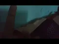 middle finger gif for you