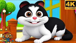 Meow Meow Billi Kerti Meow | म्याऊँ म्याऊँ बिल्ली करती म्याऊँ | Hindi Rhyme | Nursery Rhyme for Kids