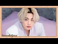 Jungkook (BTS) - "Falling" Lyrics (Original Song: Harry Styles)