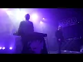 Traitrs - The Lovely Wounded
