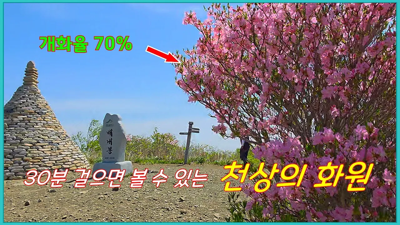 관련 영상 썸네일