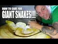 KEEPING GIANT SNAKES HOW TO GUIDE BRIAN BARCZYK