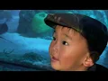 The Downtown Aquarium Denver Colorado May 19 2023