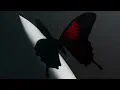 Post Malone - Lemon Tree Clean