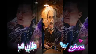  طارق الشيخ عصفور    دندنها