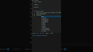 Python Port Scanner Script Explained for Beginners