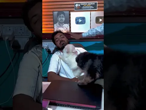 Pomtoy Anurag Pet Shop funny video. #pets #petfunnyshort #dog #doglove