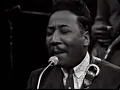 Muddy Waters - Got My Mojo Workin'
