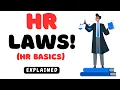 HR Laws You MUST Know HR Basics