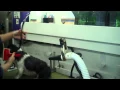 Dog Grooming in a Wag N Tails Mobile Grooming Van