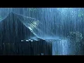 Lagu Beat Stress \u0026 Goodbye Insomnia in 3 Minutes with Heavy Rain,Thunder Sounds on a Tin Roof at Night