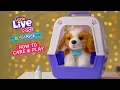LITTLE LIVE PETS I MY REALLY REAL PUPPY HOW TO CARE AND PLAY I