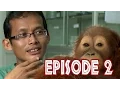 Download Lagu We Love Orangutans | Agus Fachroni - Veterinarian Coord at BOS Foundation Nyaru Menteng