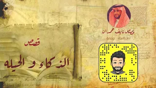 نآيف حمدان قصص عن الذكاء والحيله 