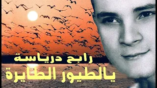 Rabah Driassa رابح درياسة يالطيورالطايرة 