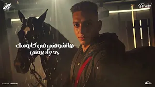 الاحصنه مش في الاسطبل احنا جينا وكله عيونو علينا بيبو ابن العمده توزيع زيزو 2025 