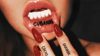 Cubanas - Cocho x Garibox (Official Visualizer Video)