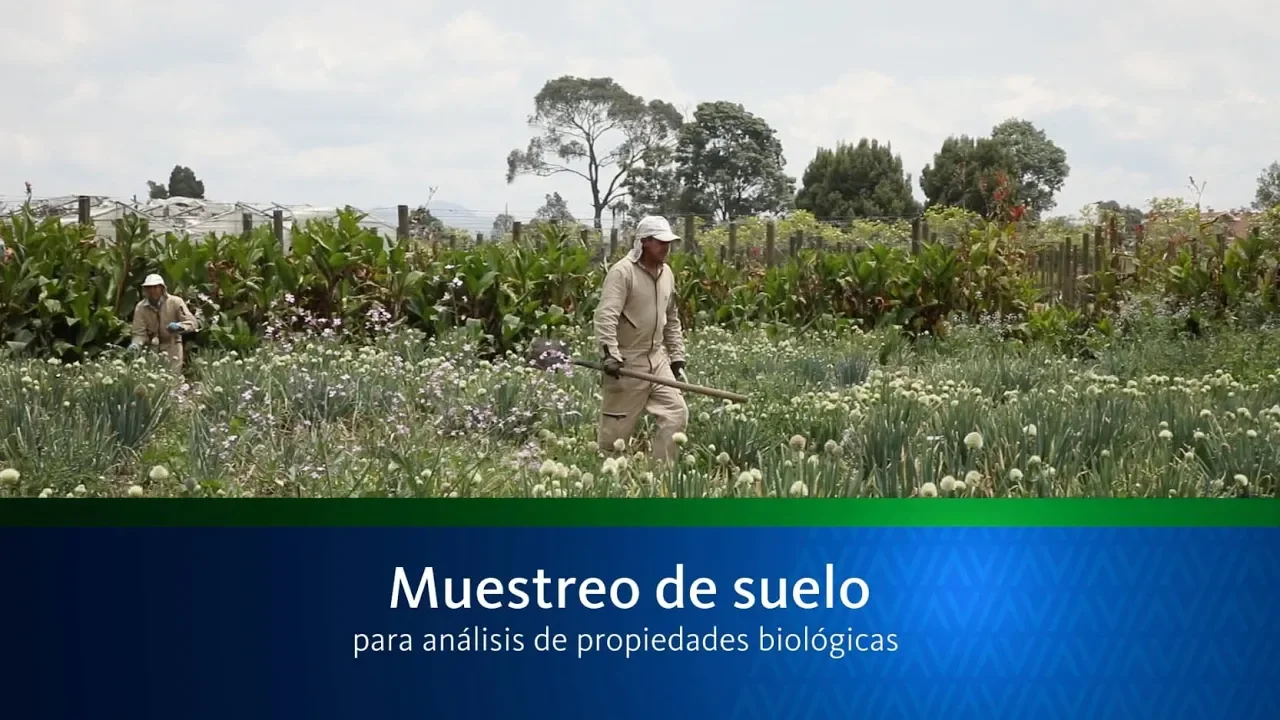 Muestreo Biológico para análisis de suelos