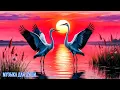 Download Lagu Эту музыку можно слушать вечно! 1 Ч ВОЛШЕБНАЯ МУЗЫКА ДЛЯ ОТДЫХА И РЕЛАКСА 💓музыка Сергея Грищука