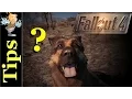 Lost Dogmeat in Sanctuary Hills Fallout 4 PS4