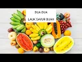 Download Lagu LAGU ANAK 4 SEHAT 5 SEMPURNA