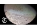 A Captured Ice Moon Out There The New York Times
