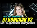 Download Lagu DJ BONGKAR FULL BASS NROTOK MBEDIL NULUP