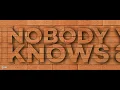 P!NK - Nobody Knows (Lyrics) 4k Video | Ultra HD