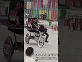Download Lagu Akan Rilis Becak Tahun 2024 #shorts