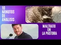 Download Lagu Denuncian a La Pastora: Osezna con sarna, desnutrición y abandono, Profepa bajo presión