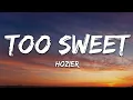 Download Lagu Hozier - Too Sweet (Lyrics)