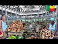 Download Lagu Cost of living in Cotonou Bénin West Africa. Indoor markets are taking over the city of Cotonou.