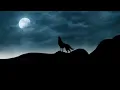 Download Lagu Suara serigala no copyright