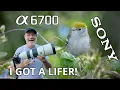 Download Lagu Sony a6700 Bird Photography with 200-600 Lens!