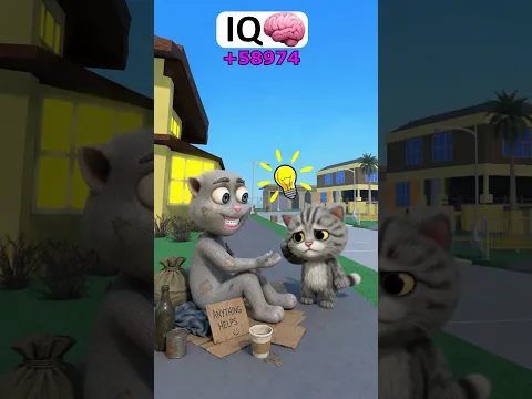 My Cat IQ to Help Someone Homeless 🐱❤️ #memes