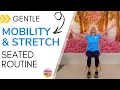 Seated Exercises for Seniors Gentle Mobility and Stretch Routine